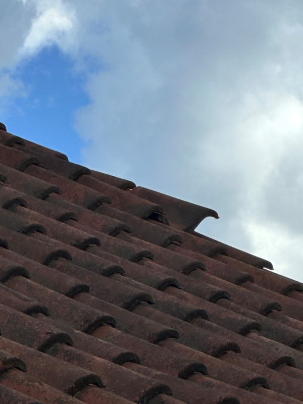 puds i tagryg og kan ved ende mur samt løse teglsten