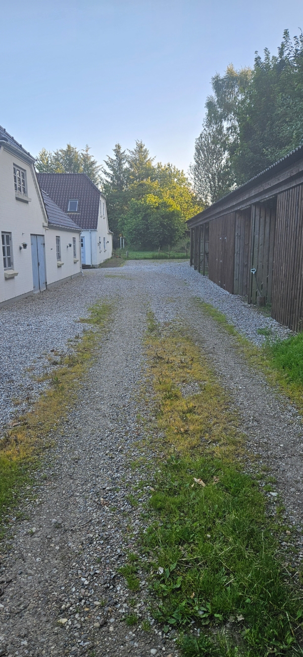 Ryd indkørsel for ukrudt