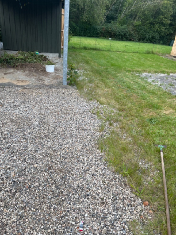Ukrudt i indkørsel og have