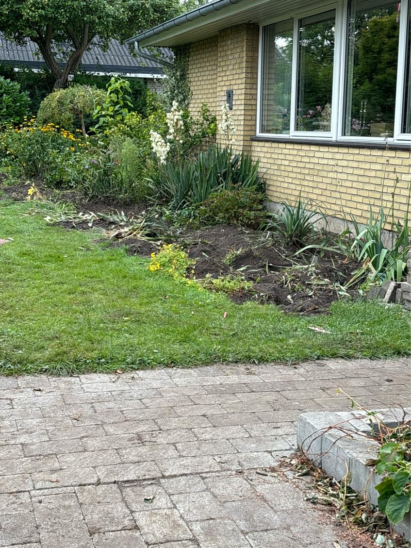 Rydning af bed og jord efter nedgravning af trampolin. Jord skal bortskaffes.