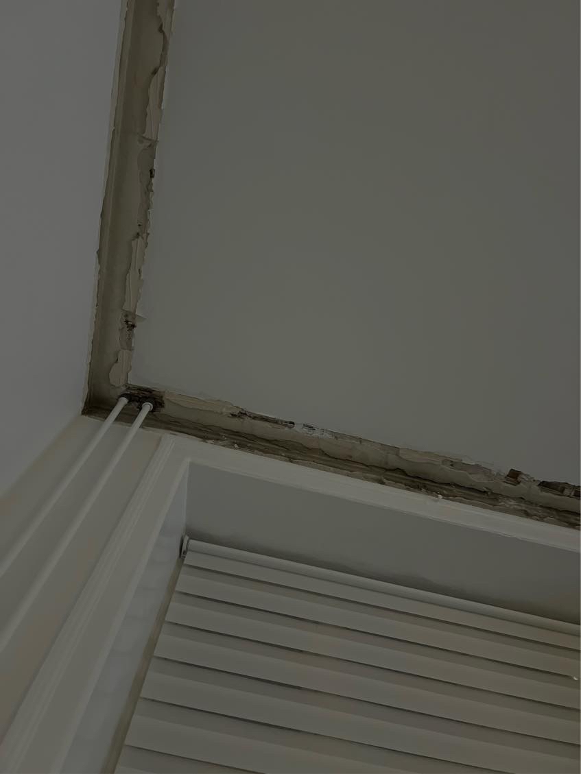 Opsætning af stuk (Polyurethan)