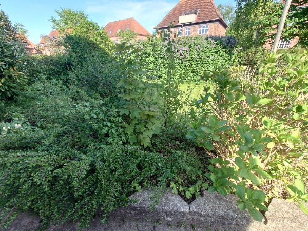 Haveaffald og fliserensning