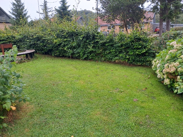 Ukrudt fjernelse og hæk klipning