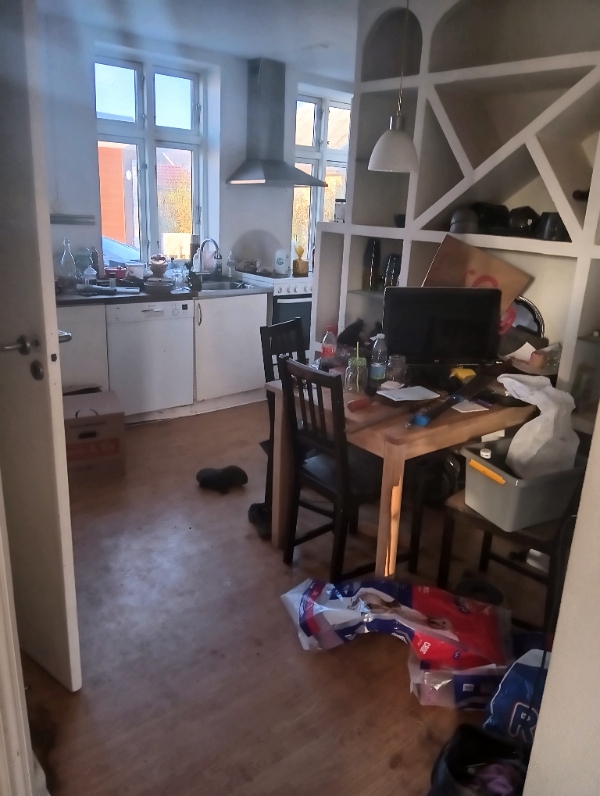 Flytte rengøring, a. 99m2 hus, og lidt have.