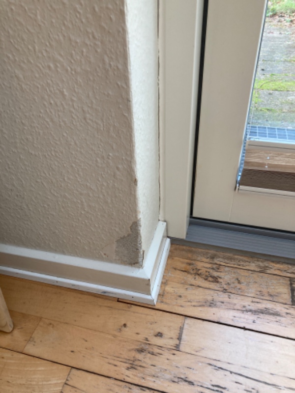 Tapetskader, dyrebid