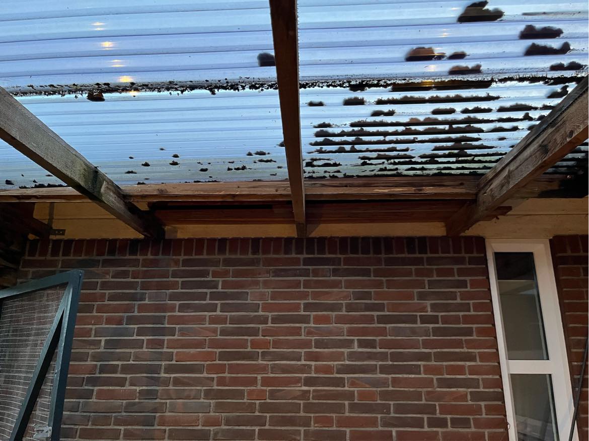 Skift af trapez plader på tilbygning