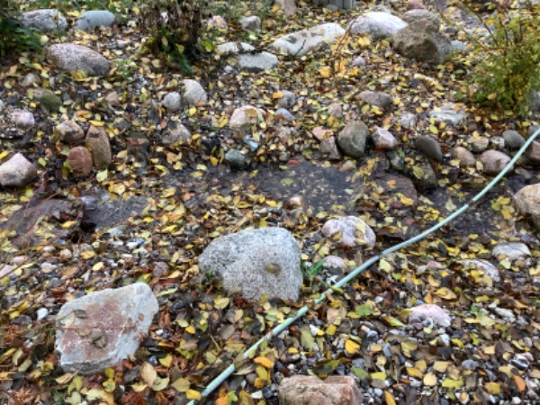 Rense vandløb og kanter for grene, blade mm. Køre planter ind i garagen.