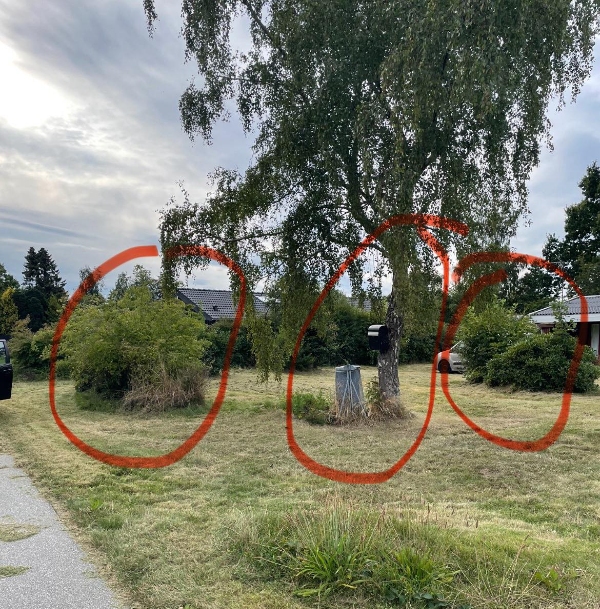 Vaek koersel af buske, grene, traestamme vha. en grabmaskine