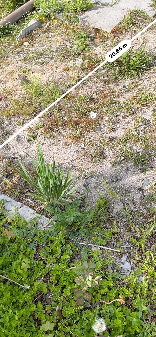 Oprydning af kolonihaveaffald