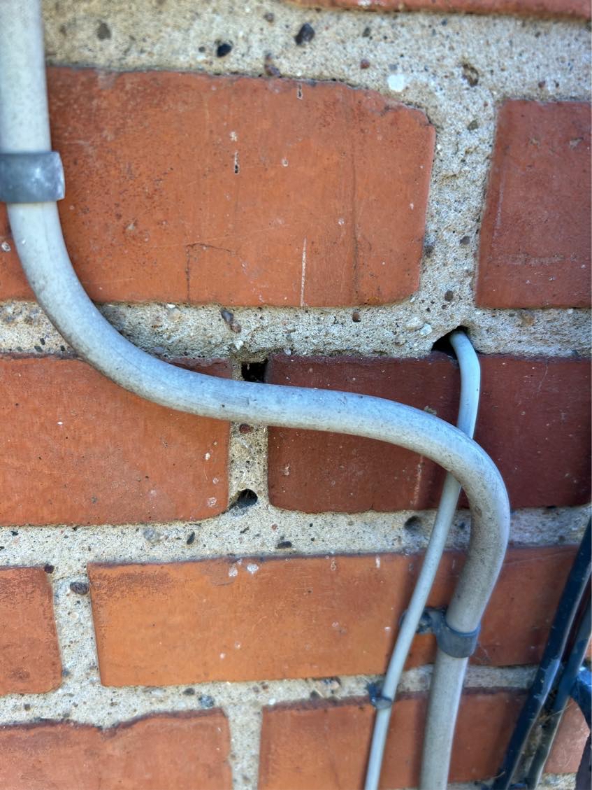 Vi har muligvis murbier i vores husfacede.