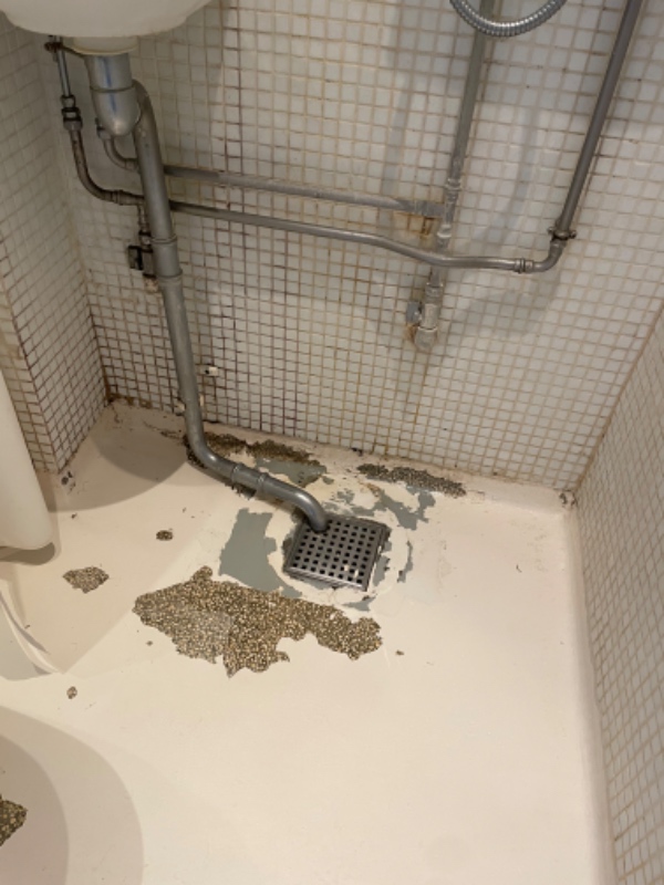 Renset gulv, fjernet maling, evt ny hvid maling