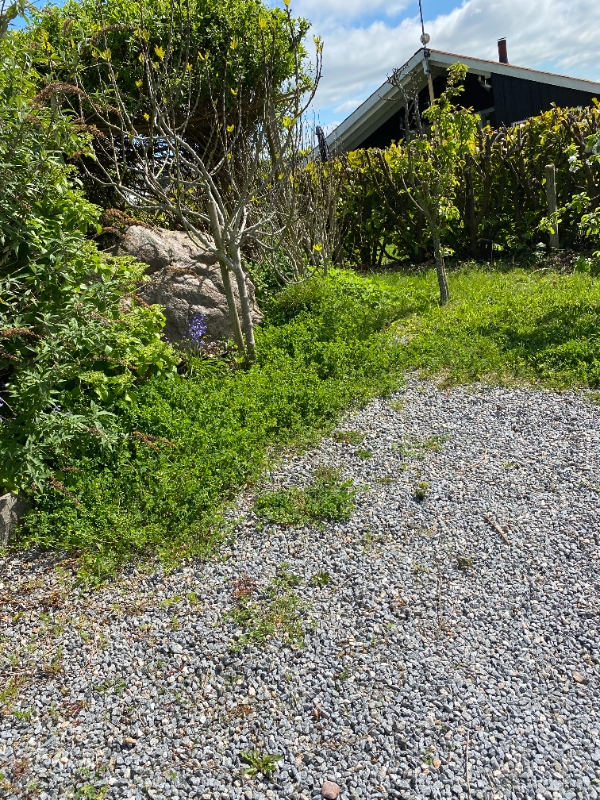 Havearbejde ved sommerhus