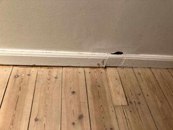 Revne ved loft + fodpanel