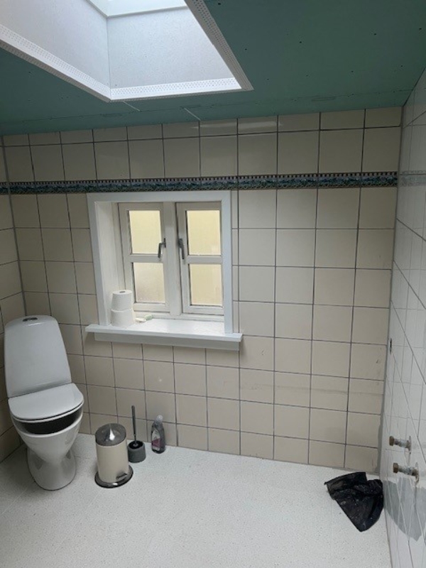 Spartling,filt og maling af gipsloft samt en endevæg og en sidevæg. Hurtigst muligt.