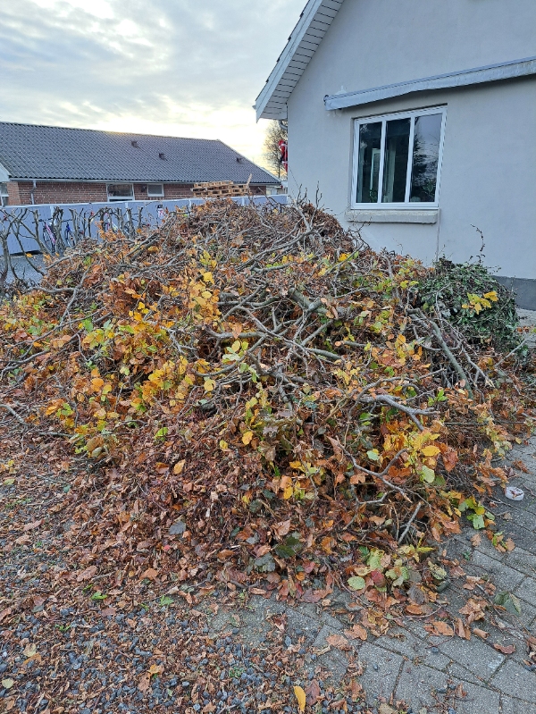 Bortkørsel af nedskåret hæk