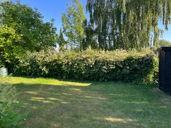 Klipning og bortkørsel af ca. 90m hæk (kun en side) med variabel højde