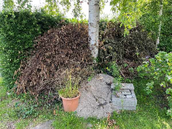 Bortkørsel af haveaffald og grill