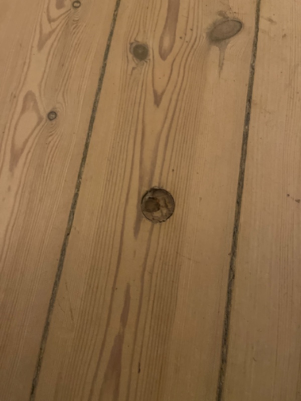 Udfyldning af 2cm diam. hul i trægulv