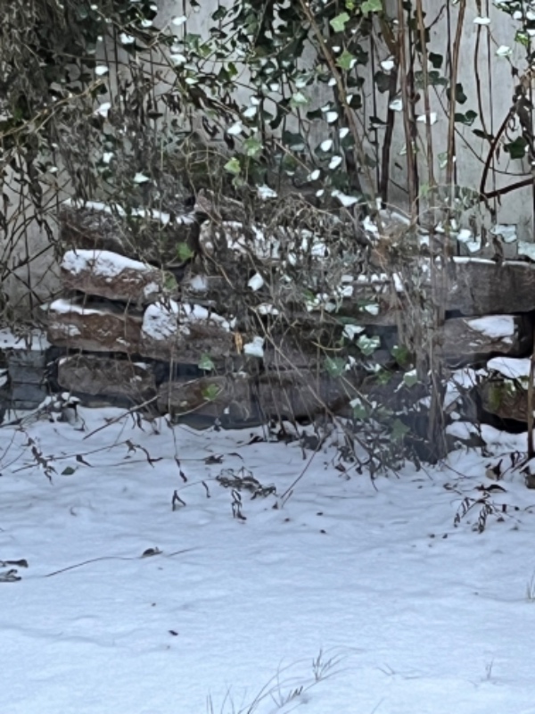 Flyttet chaussesten, kantstene og en lang stige.