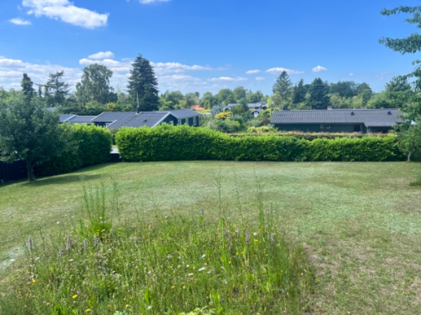 Hækklipning og bortskafning