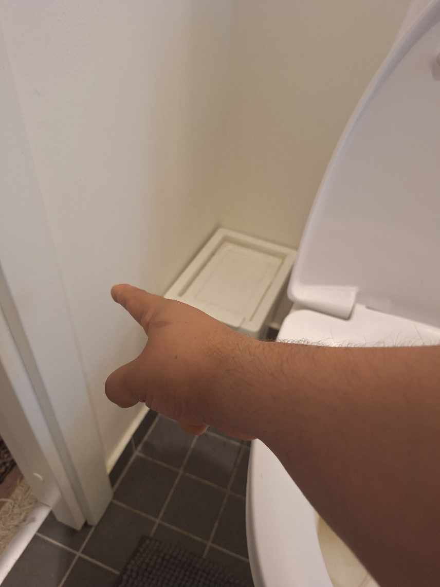 Håndholdt bruseslange til WC