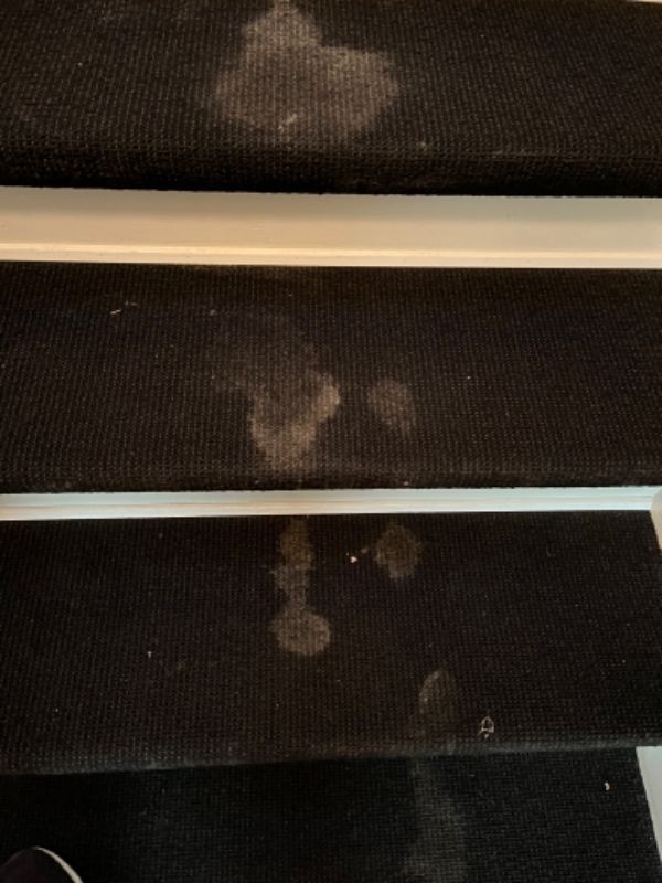 Tæpperens på trapperne, og to tæpper som kan fjernes