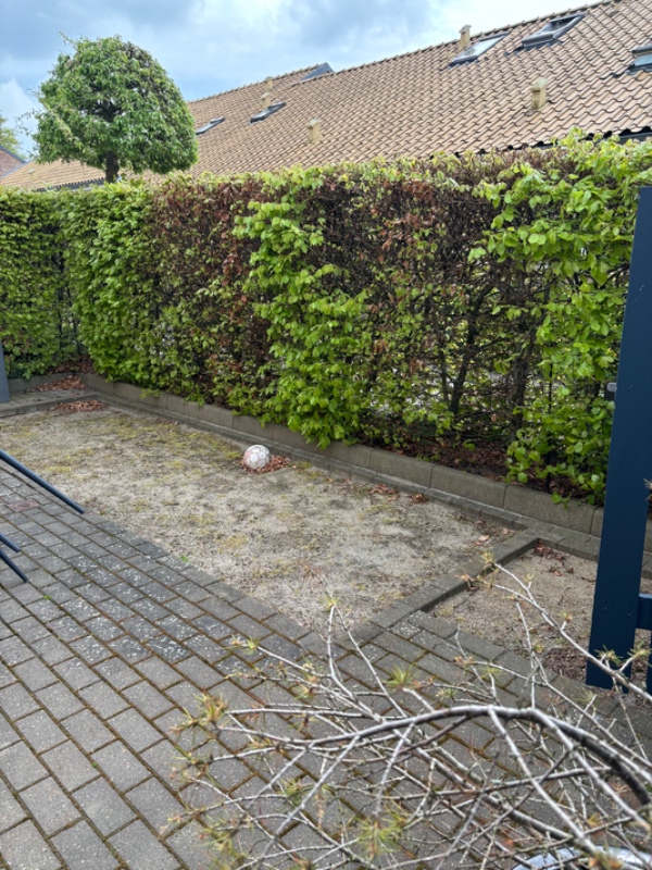 Udlægning af hollændersten