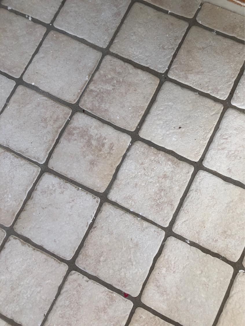 Rengøring og vinduers pusning