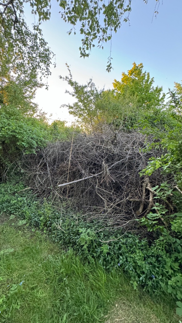 Fjernelse af grenaffald 