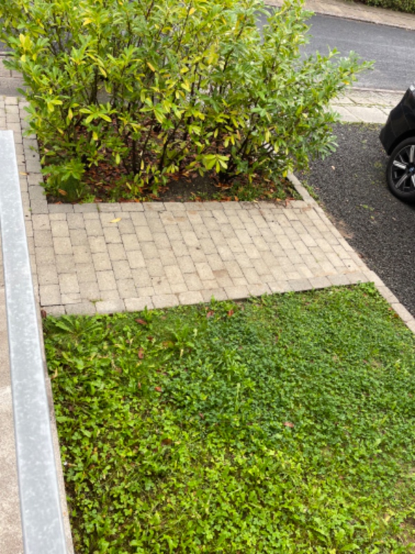 Design af ca. 30-50 kvm. indkørsel