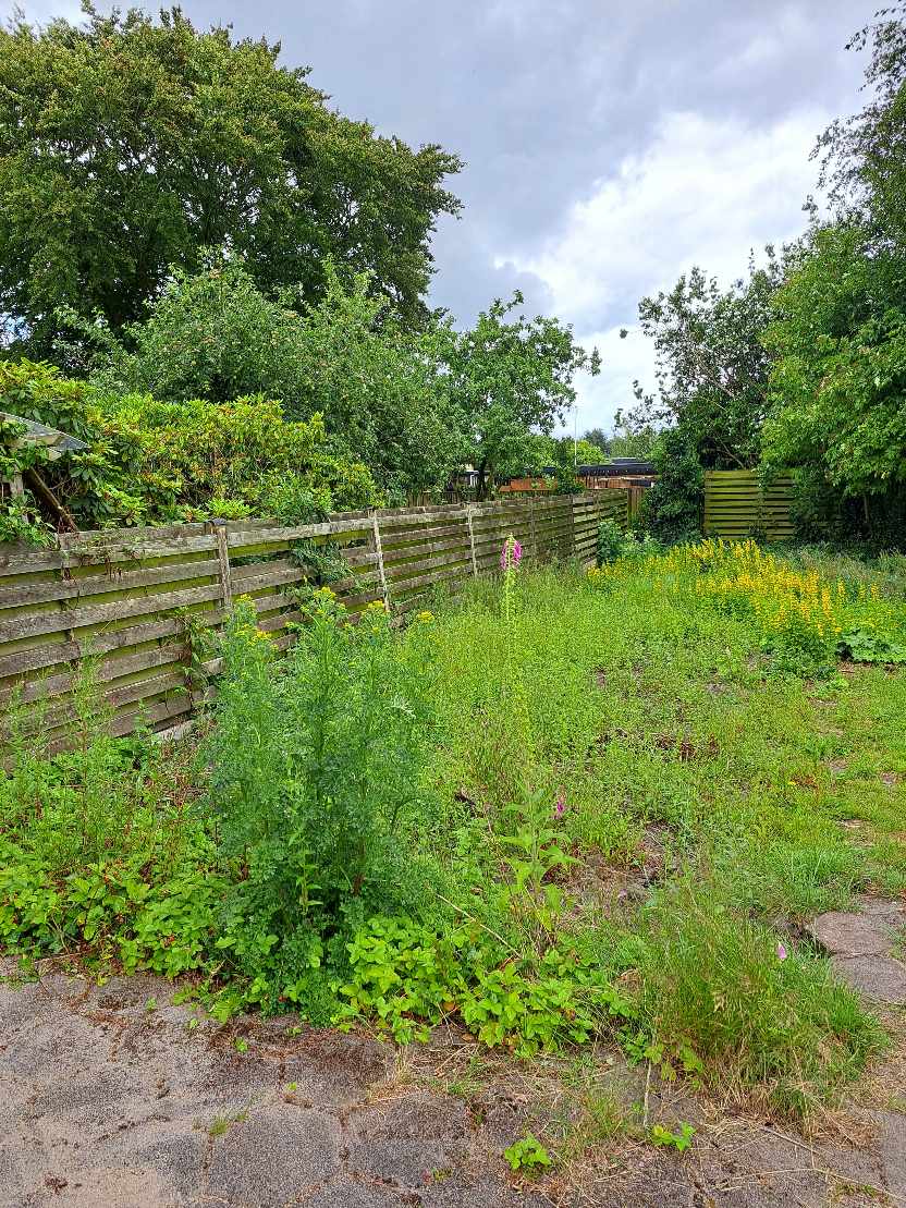 Fjerne ukrudt og rødder