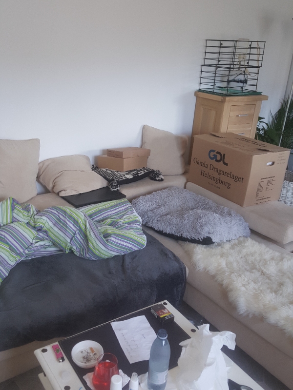 Hej jeg kunne godt tænke mig at få flyttet nogle sofaer mm det er nogle tunge ting og der er en del