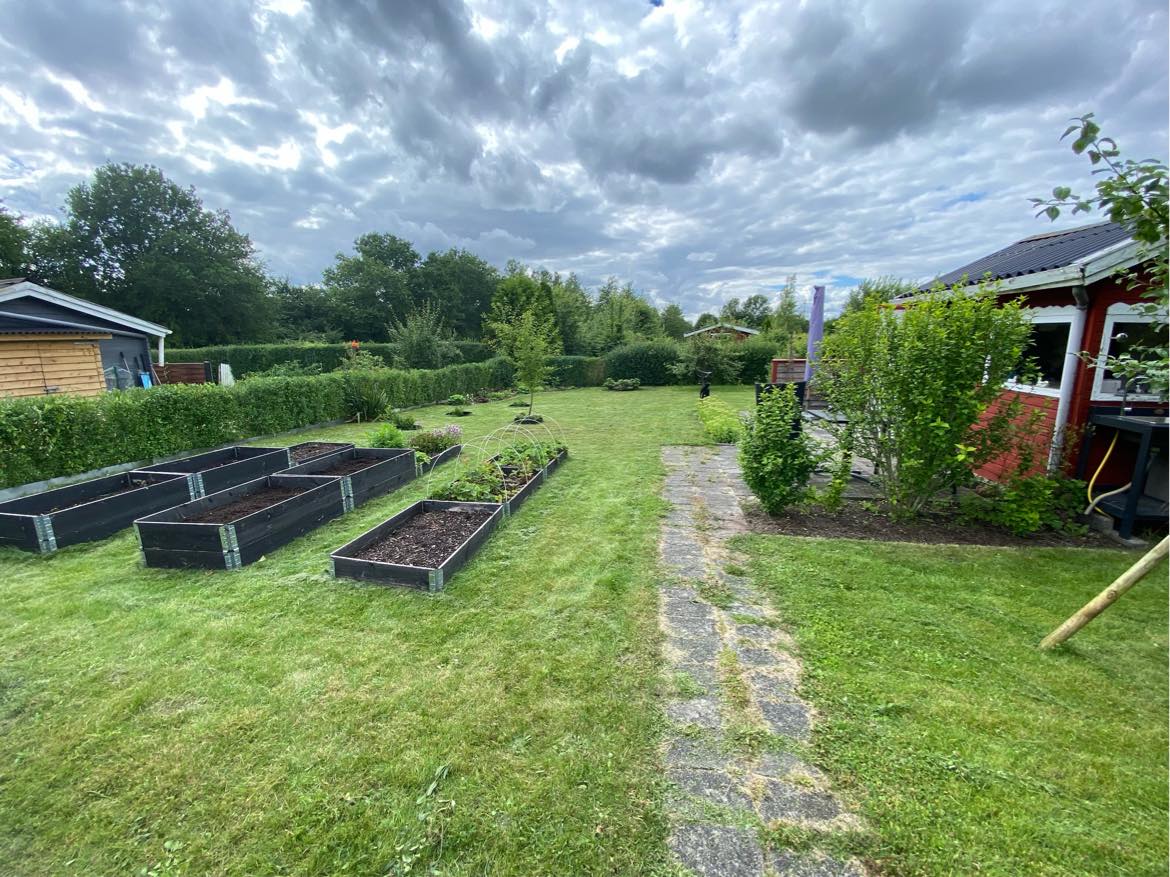 Ukrudtsfjerning og græsslåning