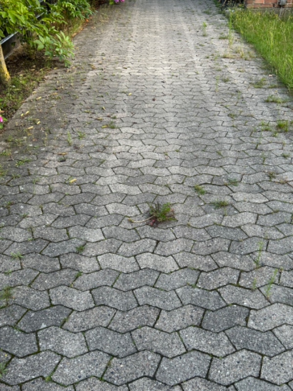 Fjerne ukrudt og ordne have