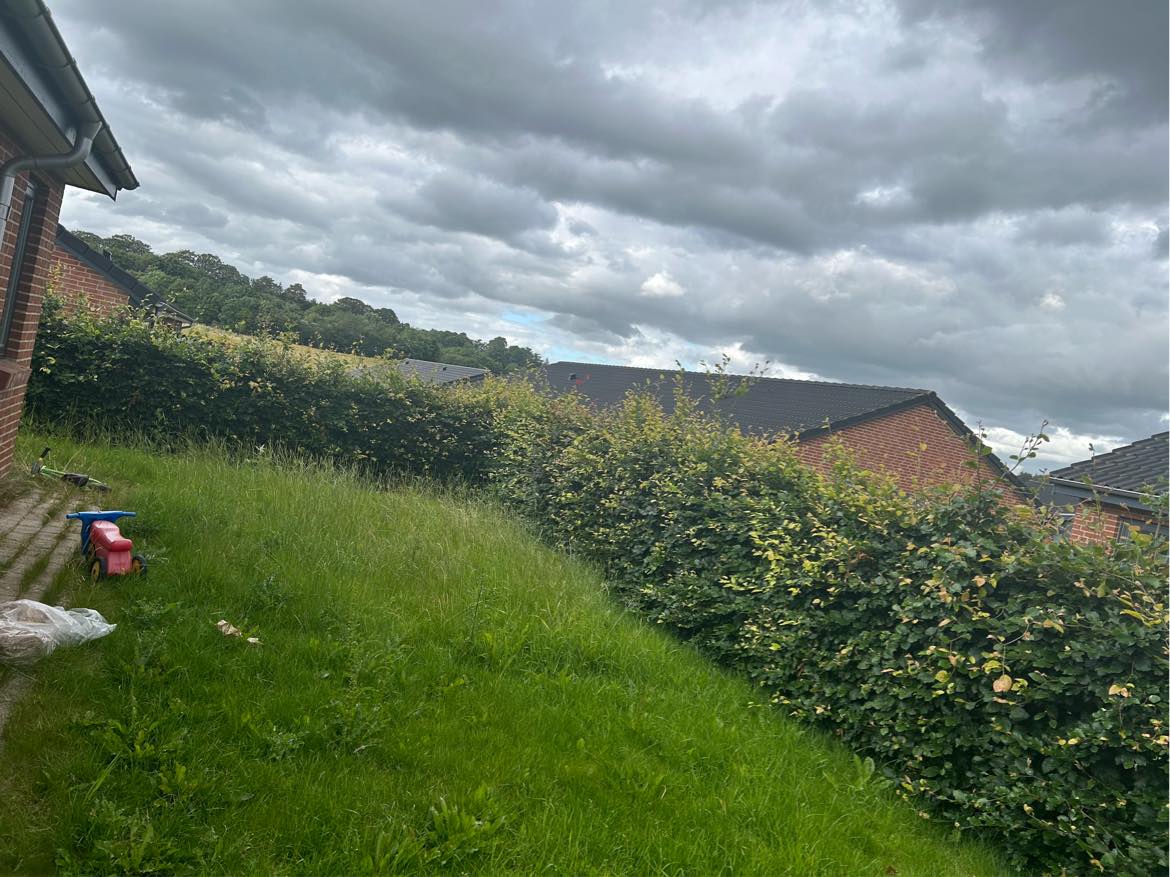 Klippe græs og hæk