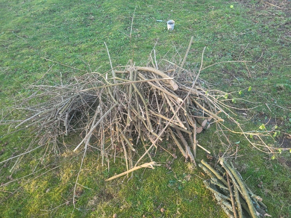 Collect garden waste.