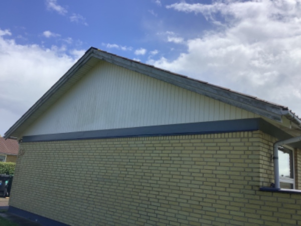 Nedtagning og bortskaffelse af artenittt