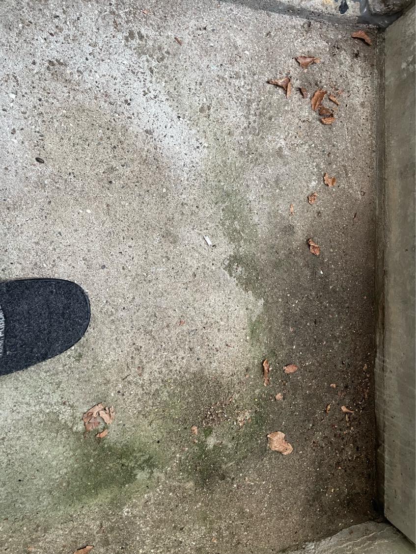 Muret hæld i kælderskakt