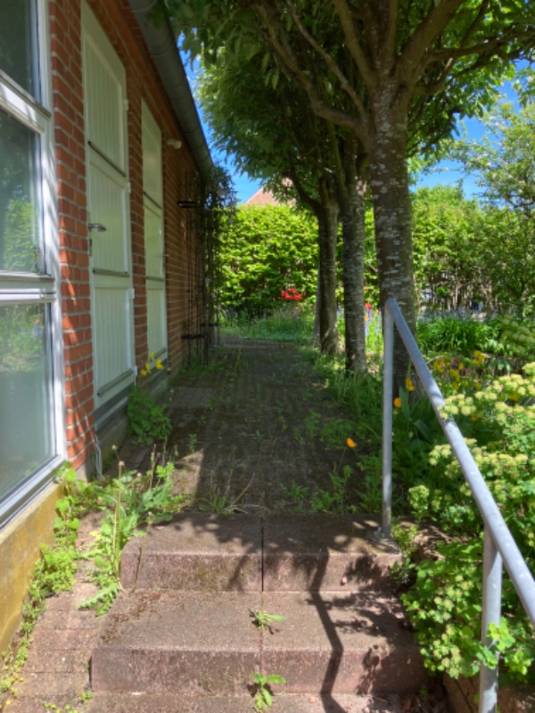 Fjernelse af ukrudt på fortorv