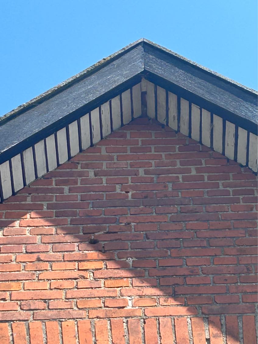 Vi har muligvis murbier i vores husfacede.