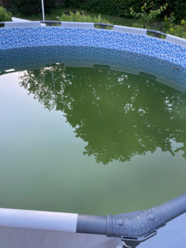 Rengøring af pool med alger