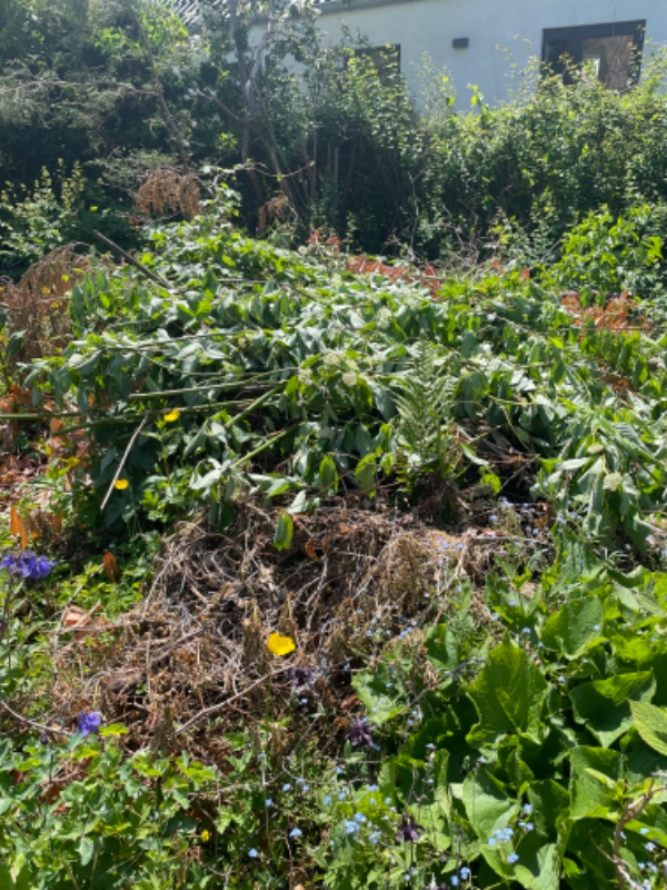 Afhentning af haveaffald + lidt byggeaffald