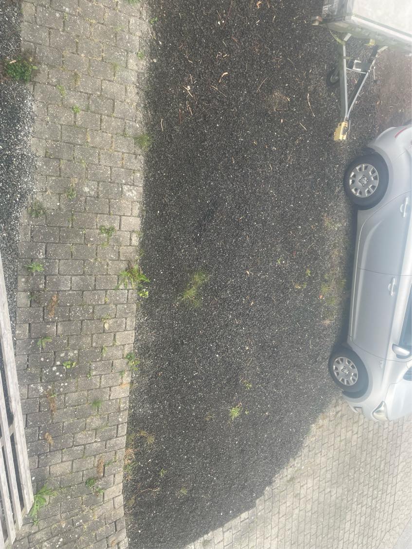 Bortkørsel af ral, jord og affald fra trætrimning