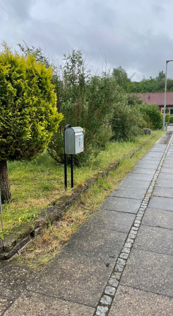 Fjernelse og lugning af ukrudt