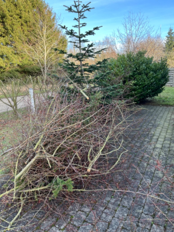 Bortskaffe haveaffald