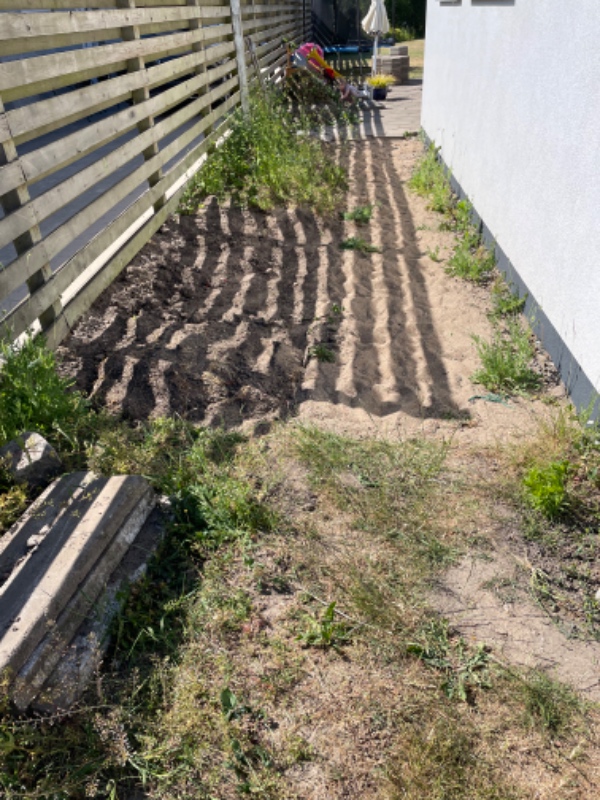 Gravet ned og fjernet en rod og fjernet jord
