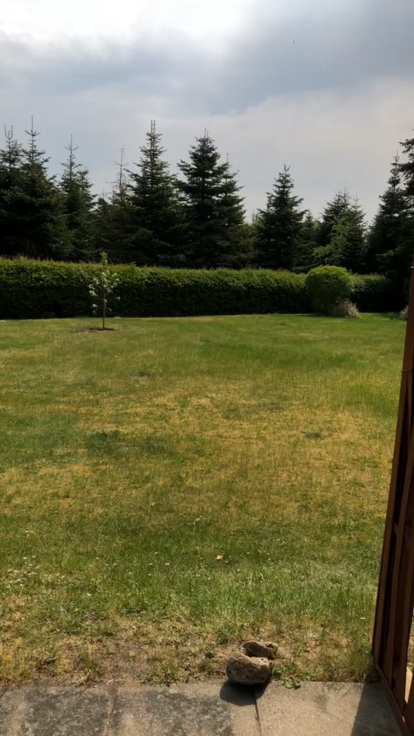 Maling af sommerhus indvendigt