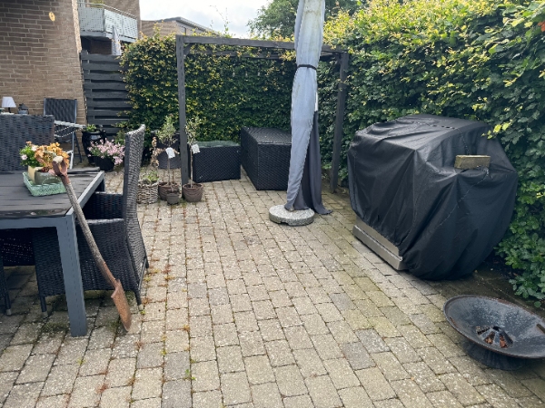 Klipning af bøgehæk og ukrudt