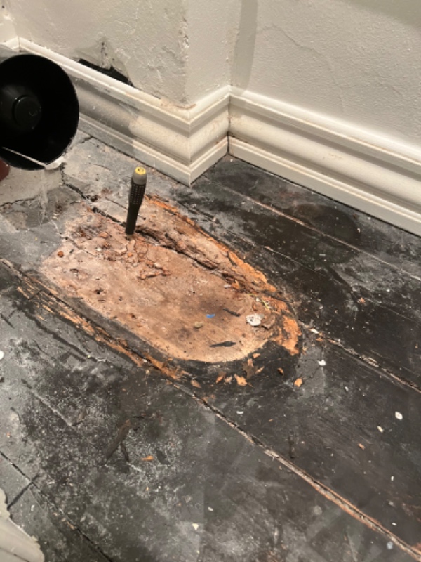 Trægulv som er rådnet på badeværelse (småt)