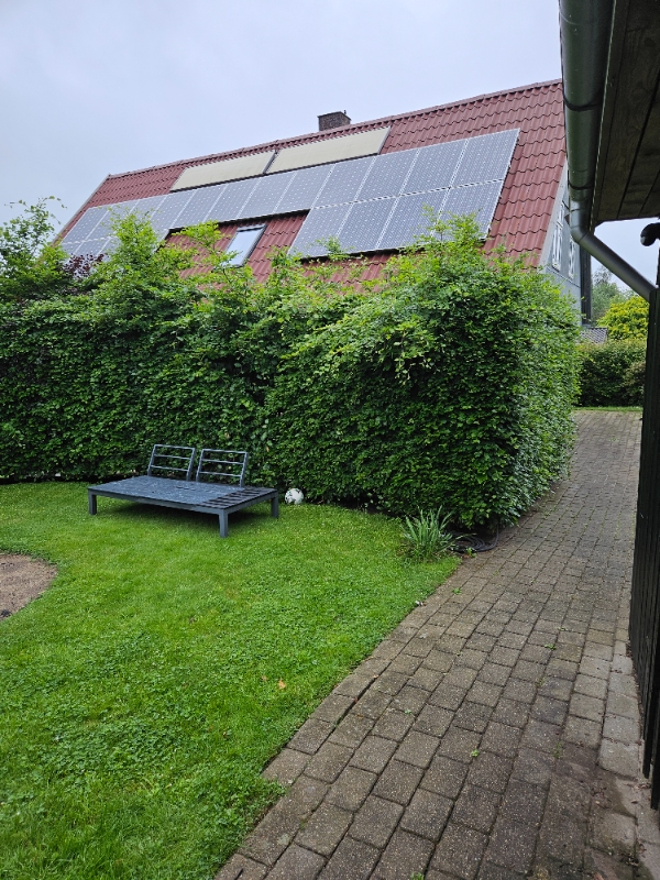 Hækklipning og beskæring